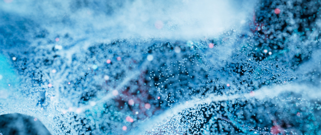 news_details_img.jpg news_details_img.jpg